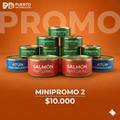 MINI PROMO 2